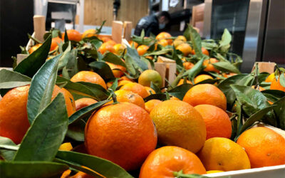 Des oranges toutes neuves !