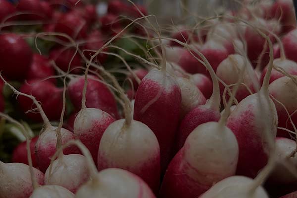 radis-frais-avranches